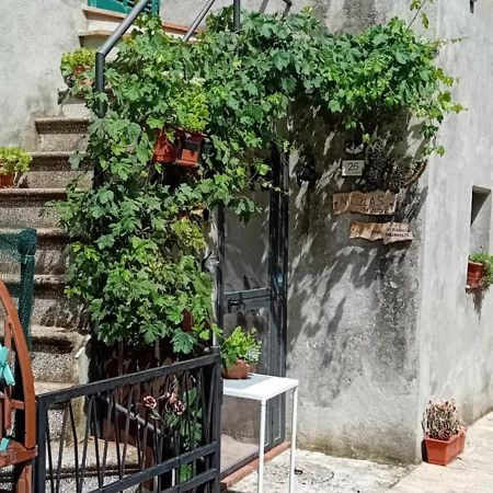 Nicolas House Campiglia d'Orcia Bagian luar foto