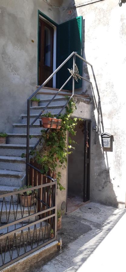 Nicolas House Campiglia d'Orcia Bagian luar foto