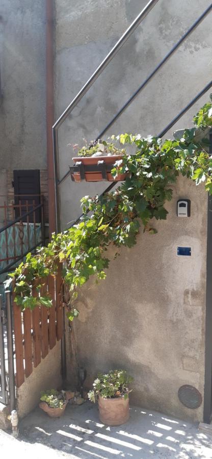Nicolas House Campiglia d'Orcia Bagian luar foto