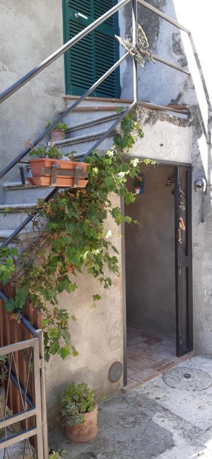 Nicolas House Campiglia d'Orcia Bagian luar foto
