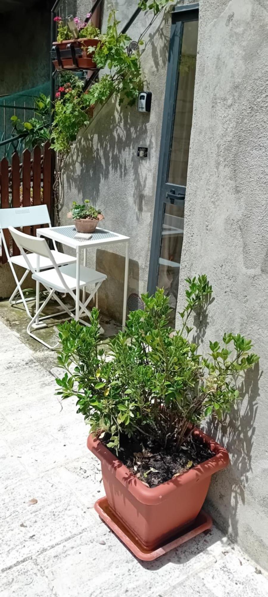 Nicolas House Campiglia d'Orcia Bagian luar foto